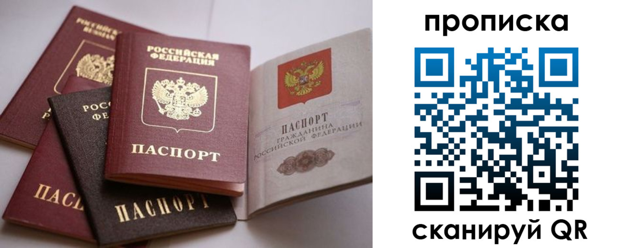 прописка ребенка в Лыткарино